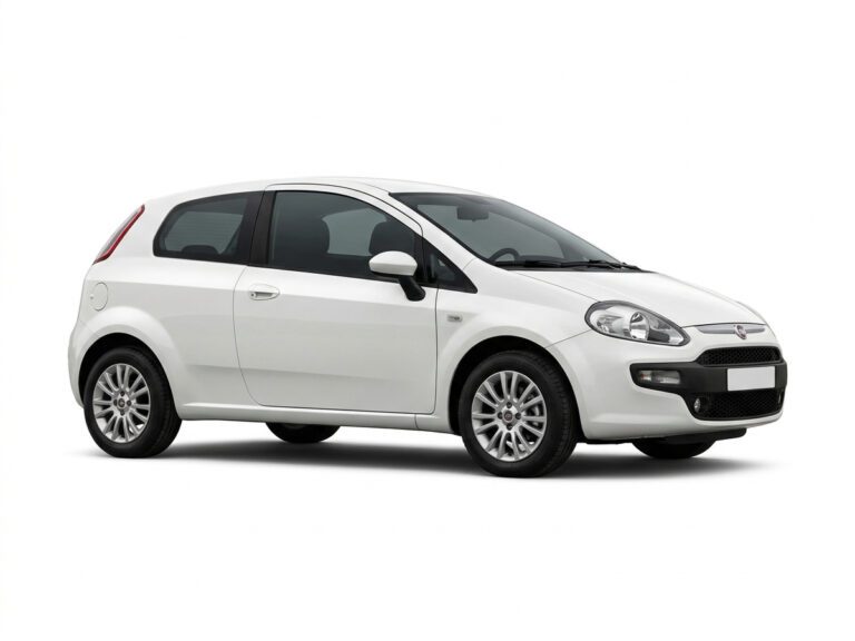 Fiat Grande Punto Autovettura/Autocarro 1.3 MJTD