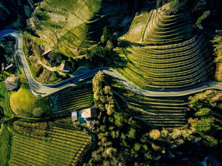 Meravigliose colline del Prosecco
